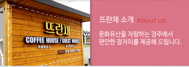 경주 게스트하우스 뜨란채소개